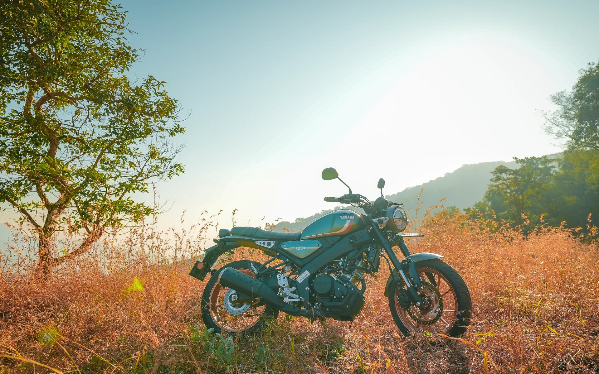 Yamaha XSR 155 Dealer Near Trimbak Road-Torque Motors